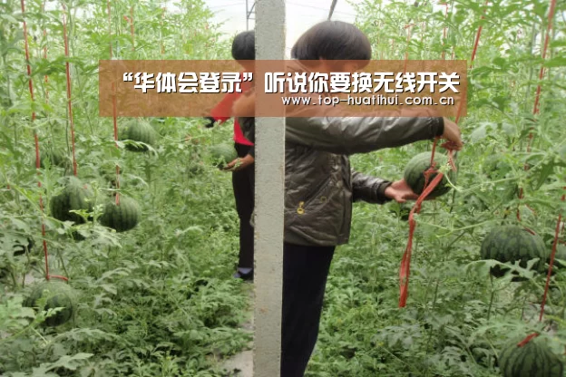 “华体会登录”听说你要换无线开关(图4) 华体会官网