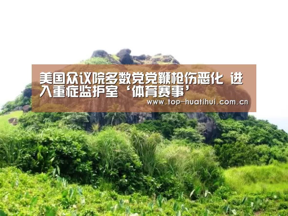 体育赛事