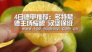 4日德甲推荐:多特蒙德主场耀眼 汉堡保级路上愈加艰难_华体会(图1) 体育赛事